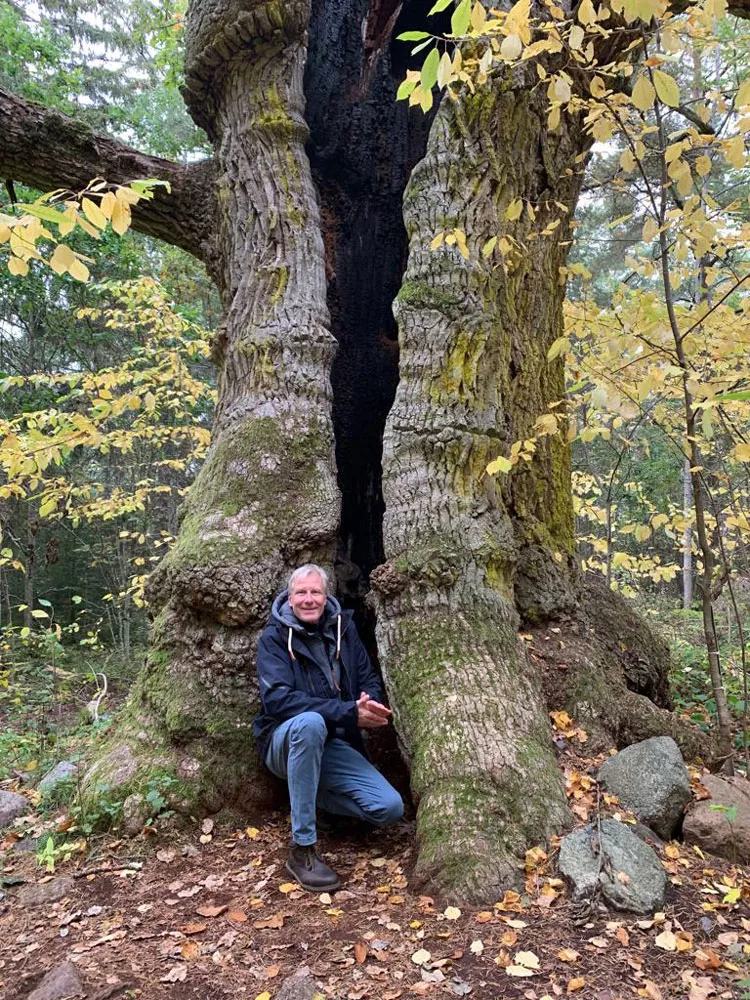 Oliver Schüler-Lürssen, Hamburg, Atelier Bellealliance